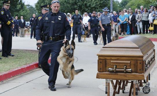 警犬排爆.jpg