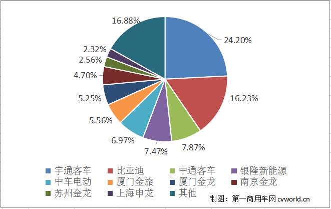 份额.jpg