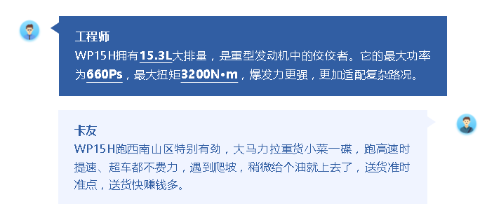 近年来，随着物流行业愈发追求高效运输，大马力重卡应时而生，成为市场新宠。以扭矩大、排量大为核心优势的大马力发动机，也成为高效、安全、可靠运输的利器。