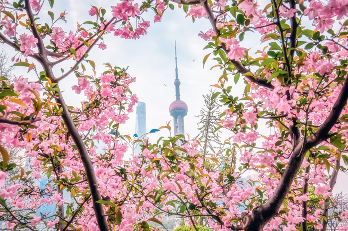 “旅游”一直是个热门话题，从淄博到“尔滨”，网红城市接力文旅热点已成为现象级的新趋势。这些旅游城市的“出圈法则”可以概括为玩梗营销、全城动员、政府服务，但对于被吸引的游客来说，最主要的还是游玩时“宾至如归”的舒适，这一点在出行过程中同样重要。